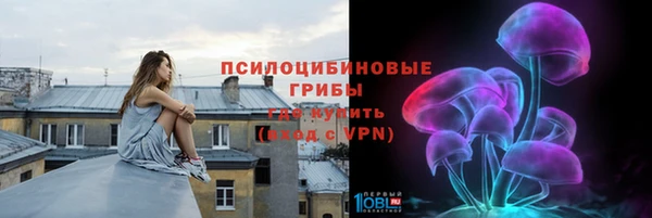 PSILOCYBIN Покровск