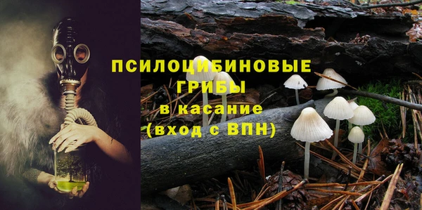 PSILOCYBIN Покровск
