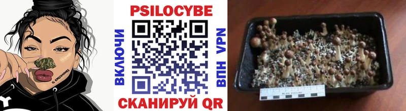 Галлюциногенные грибы мицелий Березники